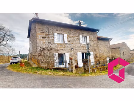 belle maison en pierres avec jardin !