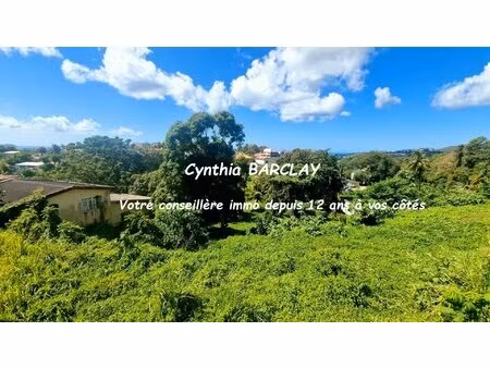 terrain constructible