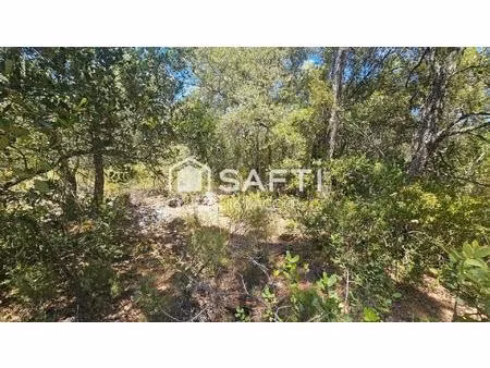 terrain en nature de bois