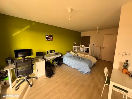 appartement t1 vide à louer à chasseneuil du poitou