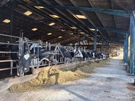 ferme 215 m² castex