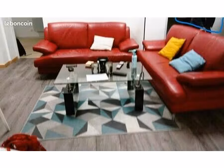 coloc de 3 ch lille avec jardin