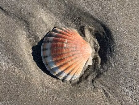 recherche grande maison à louer