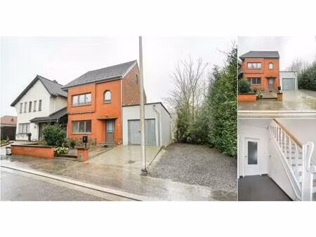 maison à louer à gezusters dehasquestraat 50 gingelom (vbd86267)