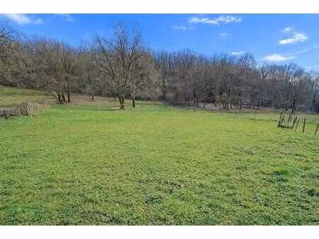 magnifique terrain de 7.660 m² entierement à bâtir et libre