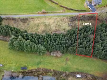 terrain viabilisé à florêt