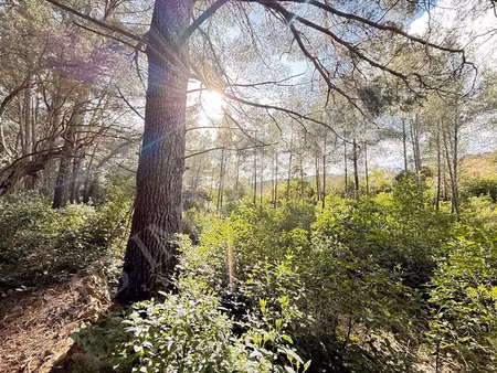 vente terrain à batir 3411 m² à ollioules (83190)  370 000 €