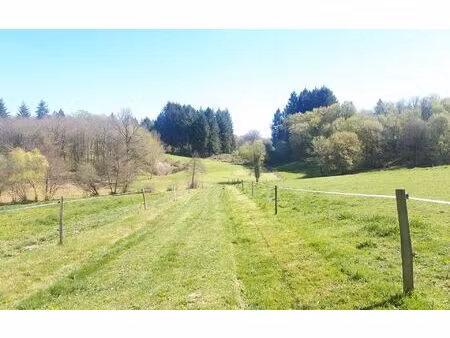 terrain vayres m² t- à vendre  50 000 €