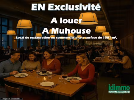 location locaux professionnels 1381 m² à mulhouse (68100)  10 300 €