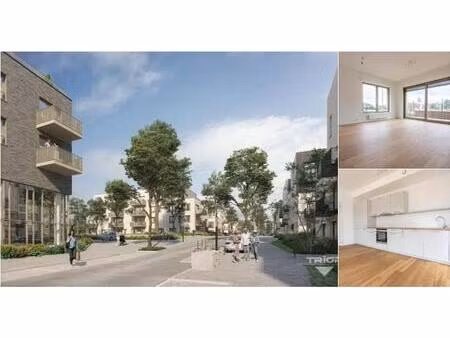 rez-de-chaussée à louer à avenue de la galvanisation 3 nivelles (vbd86312)