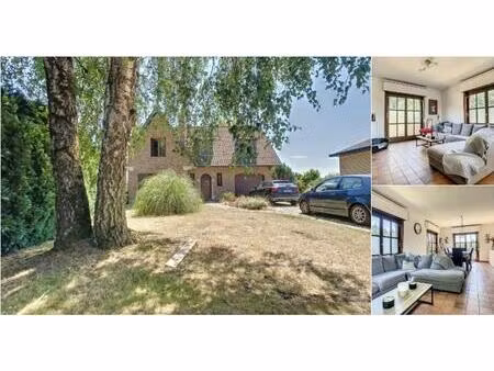 maison à louer avec garage et terrasse   antoing (vbd86328)