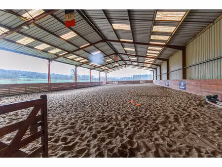 ille-et-vilaine : propriété équestre professionnelle de 13 hectares avec maison de 4 chamb