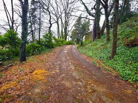 vente immeuble 90 m² baugé-en-anjou (49150)