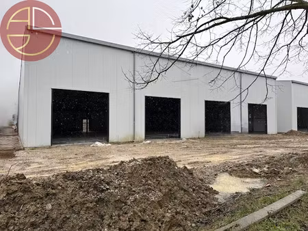 location locaux professionnels 150 m² à verfeil (31590)  1 051 €