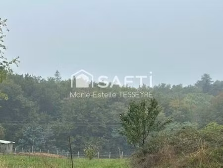 vente terrain 1500 m² loupes (33370)