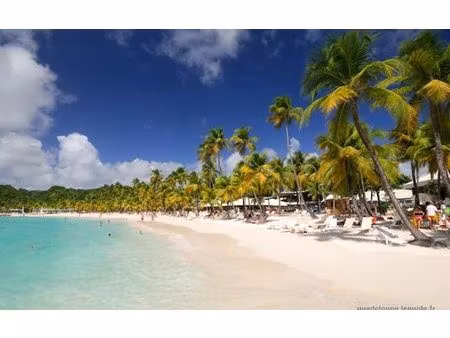 appartement sainte-anne 46 m² t-2 à vendre  218 000 €