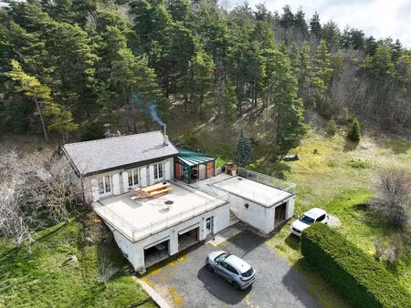 maison avec garage sur plus de 6000 m2 de terrain sur saint julien chapteuil