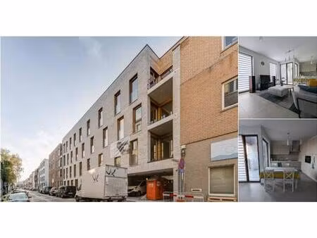 appartement à louer à haantjeslei 64 anvers (rbv25419)