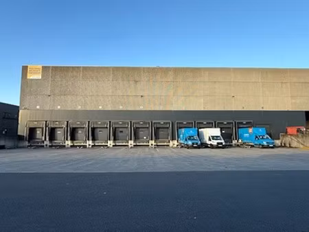 commercieel te huur in antwerpen