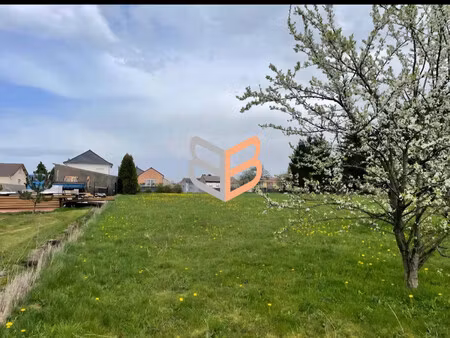 terrain 4200m2 dont 2000m2 constructibles à hussigny - godbrang