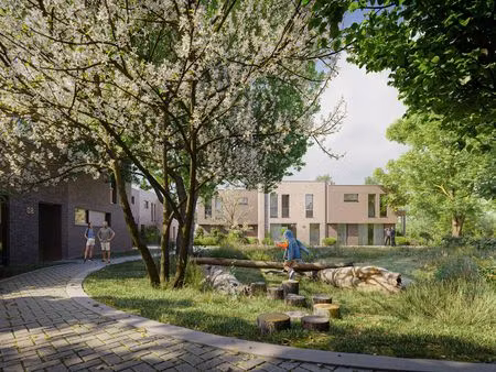 woonerf met 12 doorzonwoningen