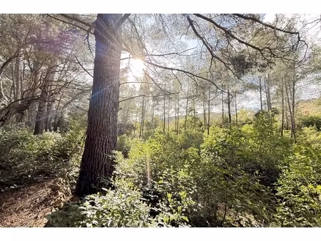 annonce terrain à vendre