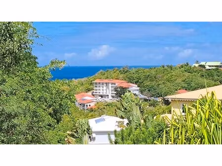 achat appartement 2 pièces 53m² les trois ilets 97229