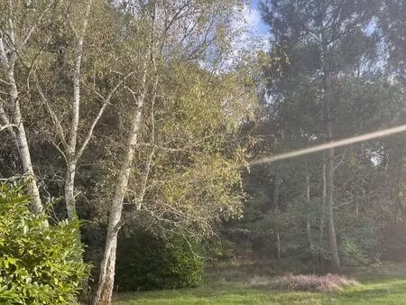 vente terrain 1000 m² saint-aubin-de-médoc (33160)