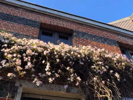 huis te koop in deurne met 2 slaapkamers