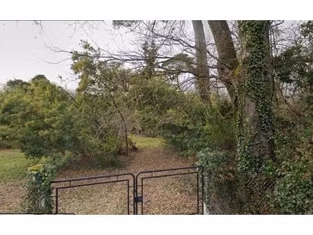 terrain à bâtir à cadaujac (33140)