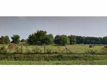 terrain à bâtir à ludon-médoc (33290)