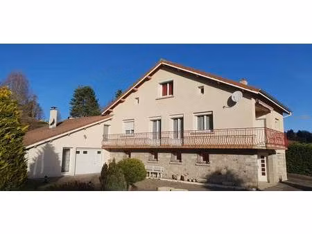 saint-pal-de-mons (43620)