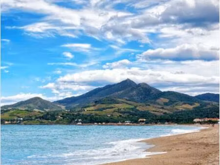 achat : appartement (66700)