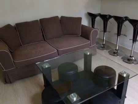 location appartement 3 pièces 45 m² à grenoble (38000)