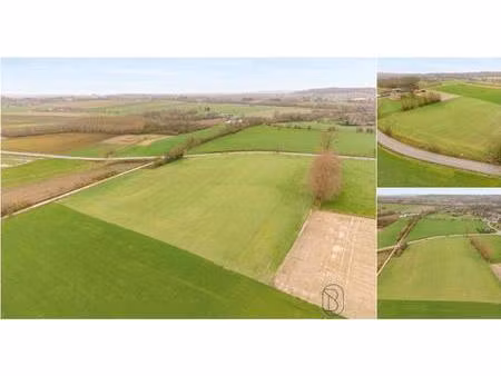 terrain à vendre de 6107 m² à buissenal (rbv25341)