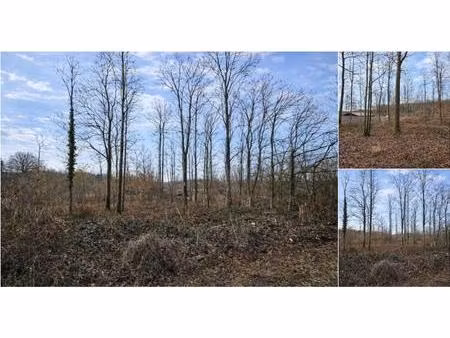 terrain à bâtir à vendre de 2884 m² à roly (vbd86087)