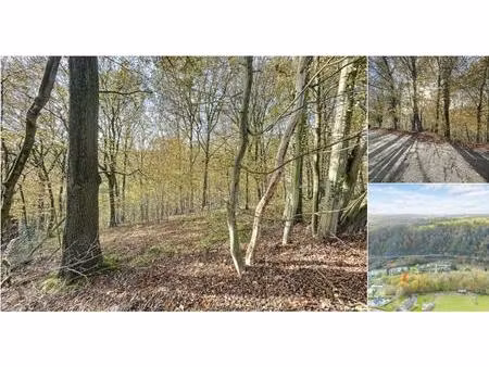 terrain à vendre à rue des thiers (face au n°21) sprimont (vbd86367)