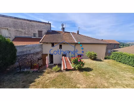 maison avec jardin thizy