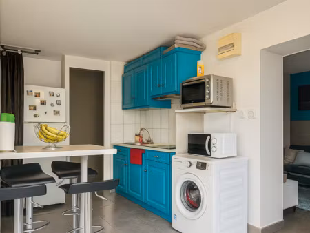 vente appartement t1 à sainte-savine (10300) : à vendre t1 / 29m² sainte-savine