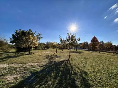 vente terrain à tiercé (49125) : à vendre / tiercé