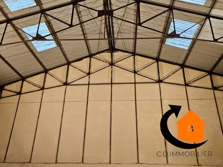 centre ville de la loupe