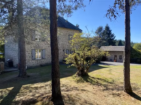 propriété de caractère avec piscine