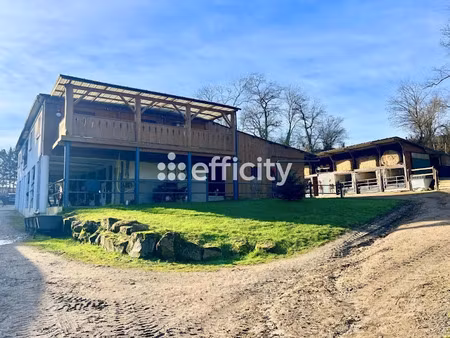 vente maison 7 pièces 132 m² à senlis (62310)  525 000 €