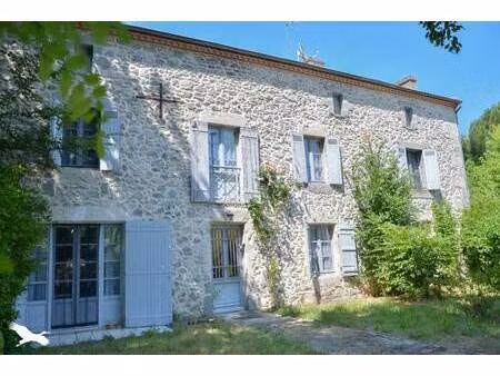 vente maison 7 pièces 232 m² casteljaloux (47700)
