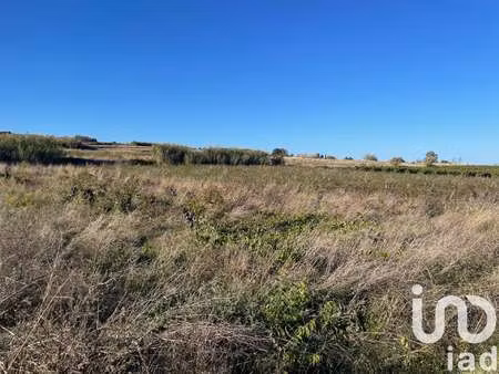 vente terrain à tourbes (34120) : à vendre / 3740m² tourbes