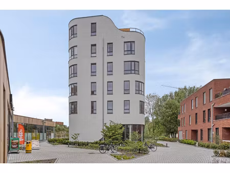 commercieel te huur in boom