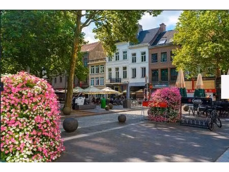 huis te koop in antwerpen met 6 slaapkamers