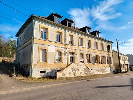 vente immeuble 368 m² grostenquin (57660)