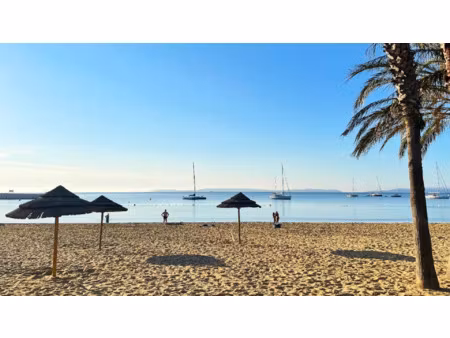 murs commerciaux ( possibilité fond) restaurant front de mer