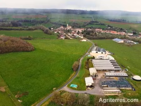 vente ferme 1 pièce 105 m² à graffigny-chemin (52150)  1 200 000 €